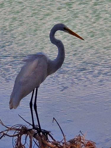 15:42:50 GMT-0800 (PST)