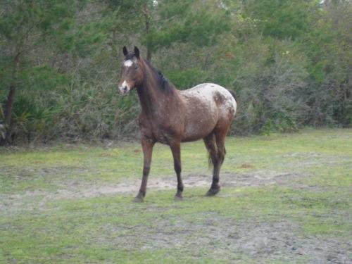 06:58:14 GMT-0500 (EST).image