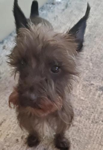 16:41:58 GMT-0500 (EST)