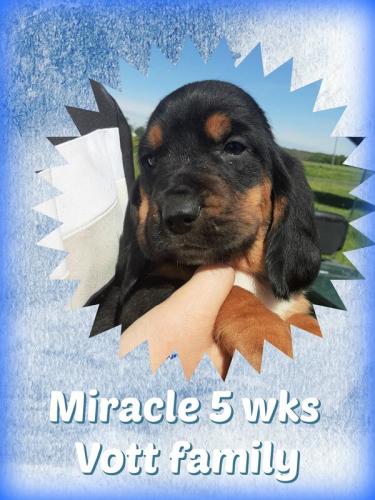 101829777-1652339094920665-2969114233209356288-o