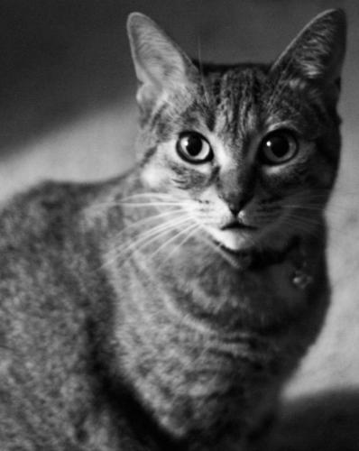 23:43:27 GMT-0600 (CST)