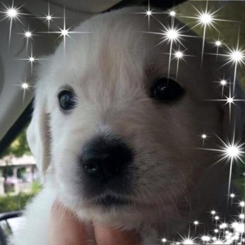 99296324_286668432508420_3510912134122831872_n