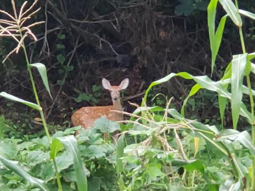 08:22:46 GMT-0500 (EST)