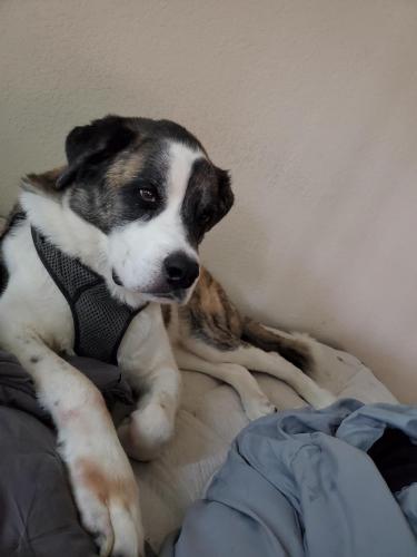 20:01:01 GMT-0500 (EST)