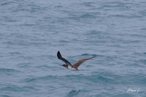 10:59:51 GMT-0800 (PST)