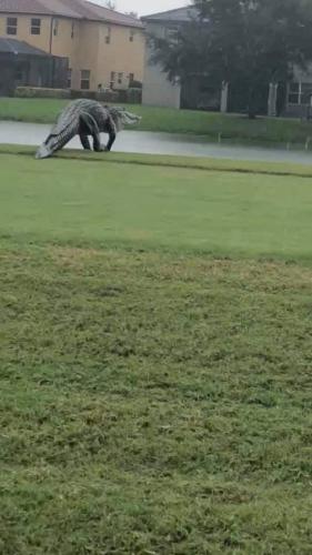 04:38:02 GMT-0500 (EST)