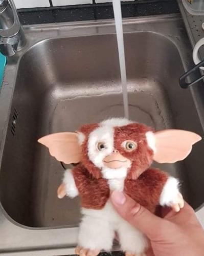 20:50:42 GMT-0600 (CST)