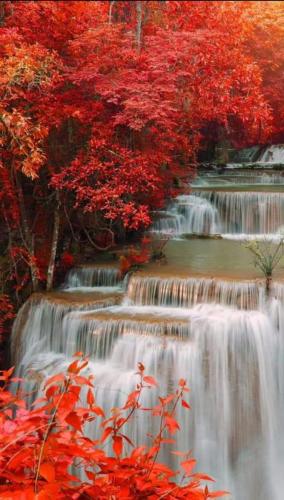 09:35:15 GMT-0600 (CST)