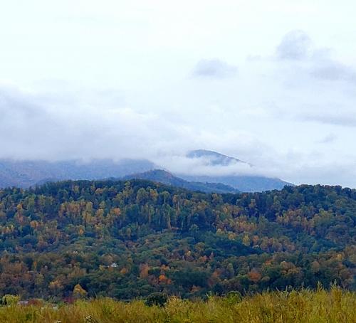 11:04:12 GMT-0500 (EST)