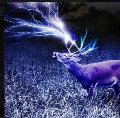 21:12:14 GMT-0600 (CST)