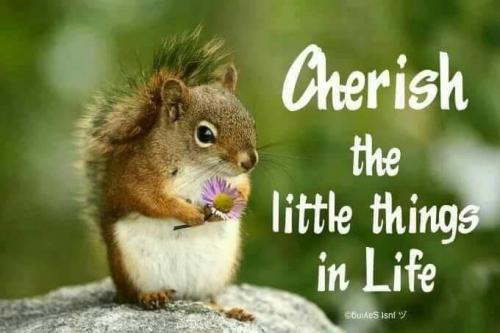 20:04:22 GMT-0500 (EST)