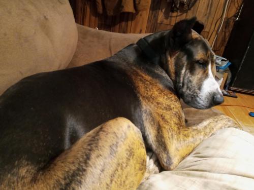 inbound692414037960356910