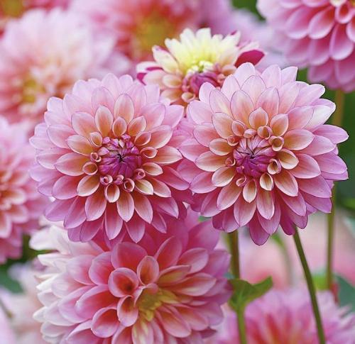 09:27:02 GMT-0800 (PST).image