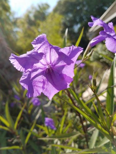 15:33:45 GMT-0800 (PST)