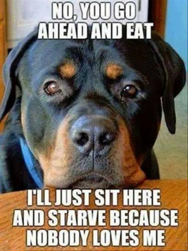 23722504_2001991636747071_5703442273311372930_n