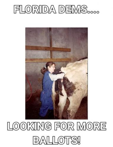 13:02:26 GMT-0600 (CST)