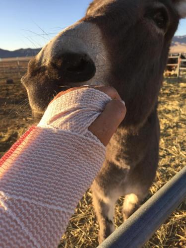 17:24:15 GMT-0800 (PST).image