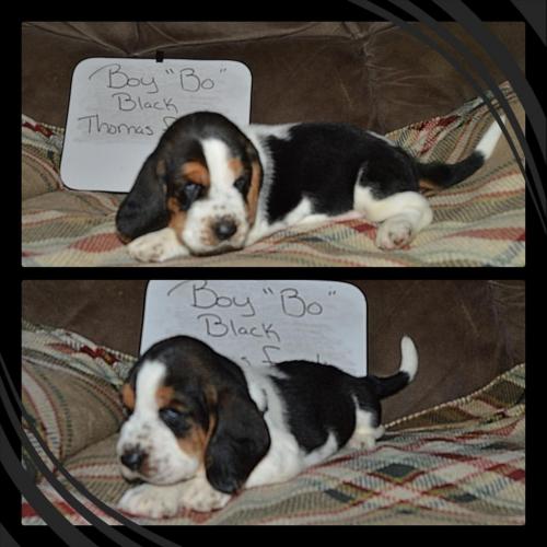 101381493_858808141292099_308018802312871936_o