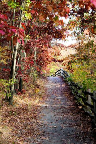 17:47:59 GMT-0500 (EST).image