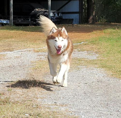 19:20:53 GMT-0600 (CST)