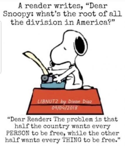 55897034_988885674834390_2551517685460500480_n