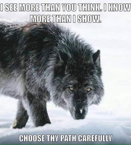 Wolf Know