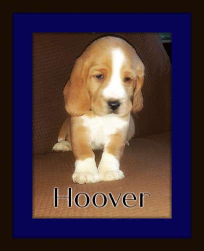 120600547-1774810596006847-2130330331935872342-n