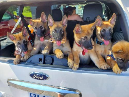 20:11:50 GMT-0600 (CST)