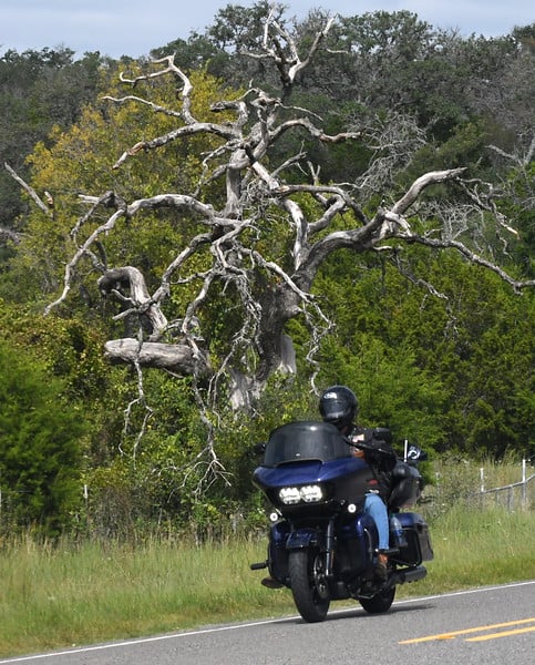 120821984_4014340058593605_6398675680138794116_n