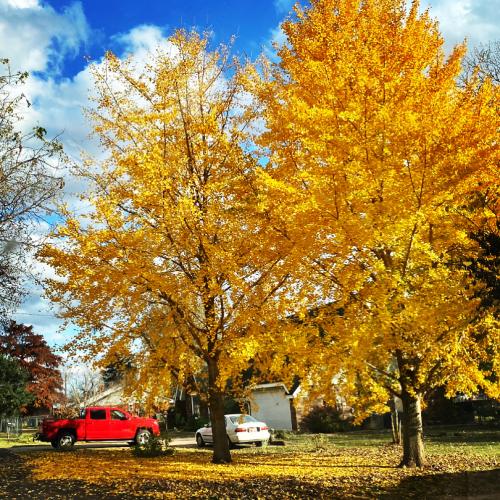 20:38:50 GMT-0600 (CST).image