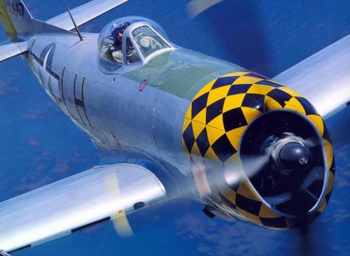 125002717_126203369260043_2661719853021414219_o