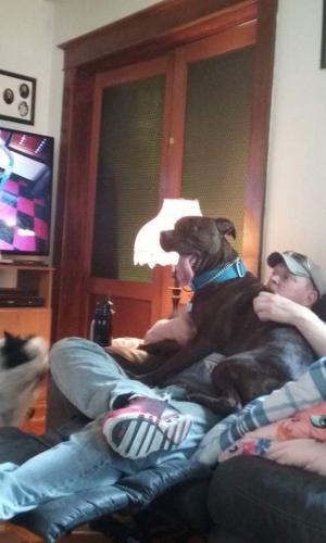 15:29:24 GMT-0600 (CST)