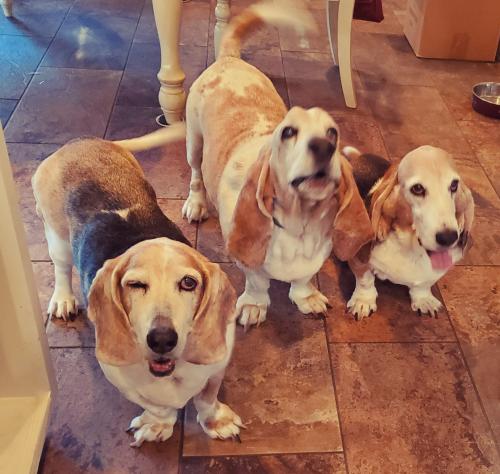 22:35:22 GMT-0600 (CST)