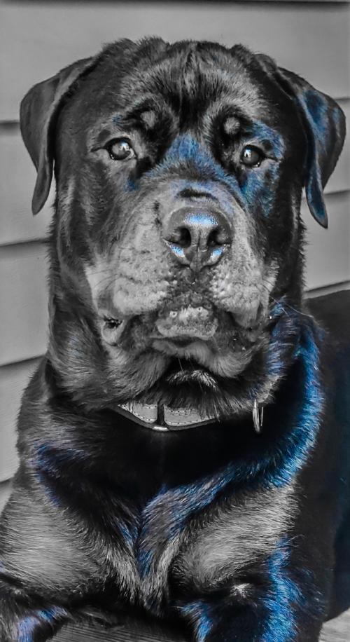 17:36:01 GMT-0600 (CST)