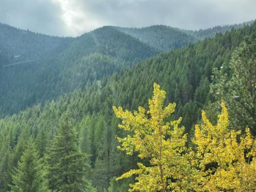 23:29:42 GMT-0600 (CST)