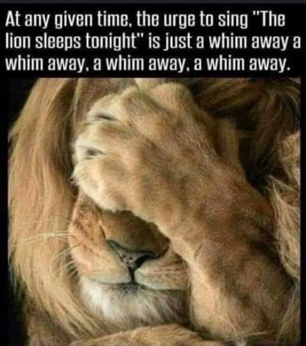 19:59:08 GMT-0500 (EST)