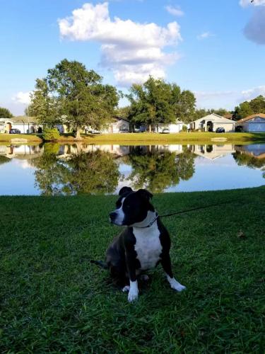 06:05:43 GMT-0500 (EST)