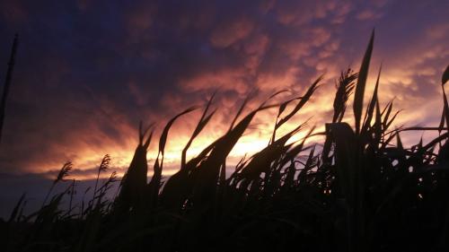 117951463_3501639969848796_8152322993824855619_o