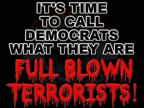 Screenshot_2020-07-13-09-18-29-1