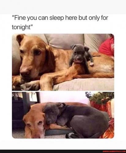 21:32:32 GMT-0600 (CST).image