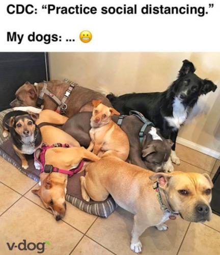 3a42b40a63553b2d0a517ef7691fb2459d065cb5d298457453a505dc09299596