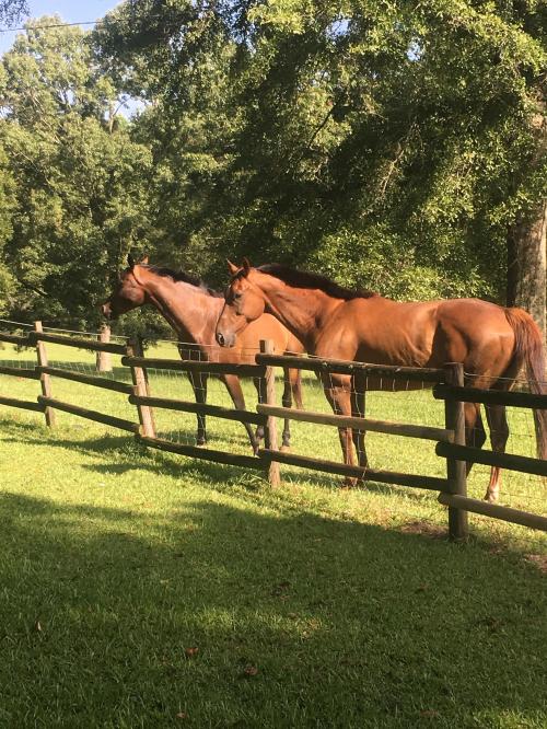 B69E5DA1-0122-404F-B8E7-01004B7C2783