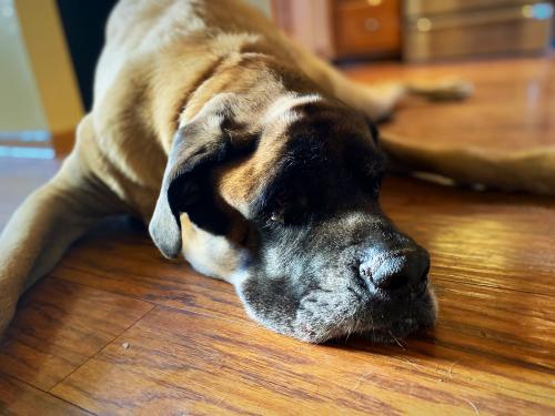 10:36:20 GMT-0500 (EST).image