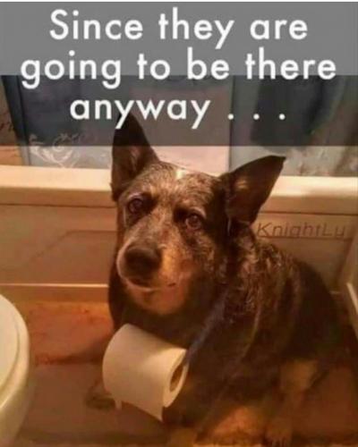 Screenshot_2020-08-12-17-56-46-1