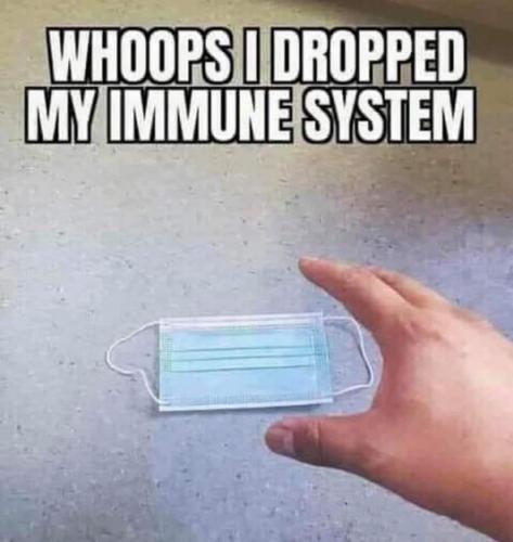 Dropped my immune system