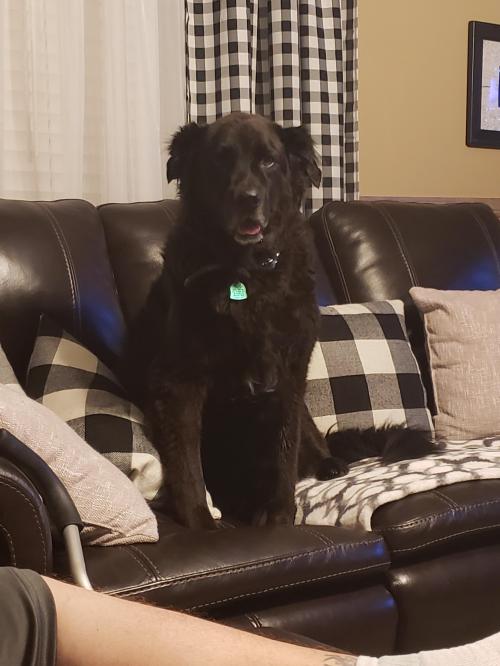 20:31:34 GMT-0600 (CST)