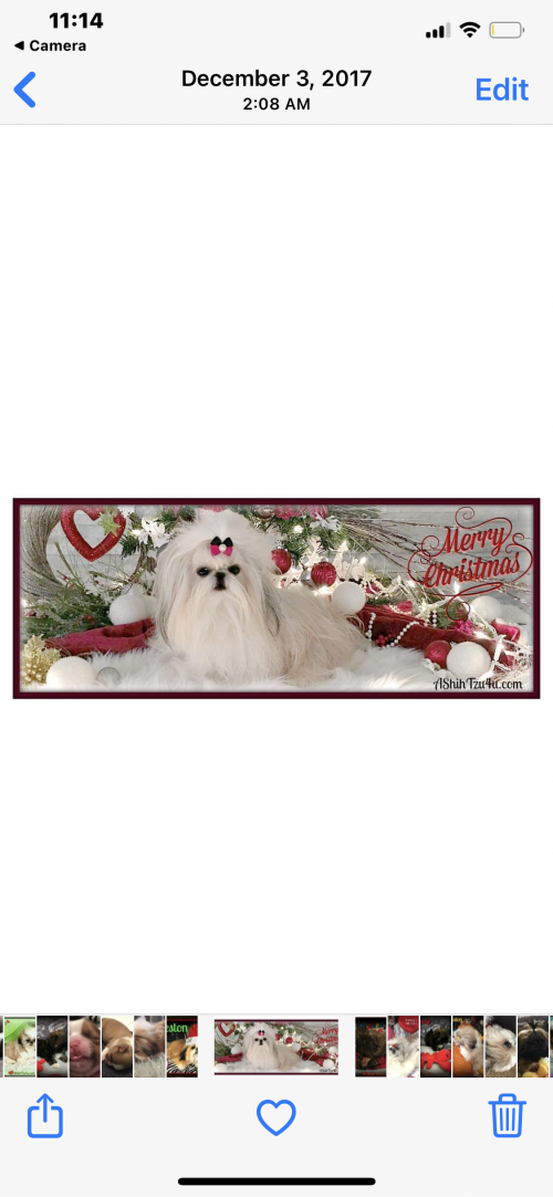 13:24:47 GMT-0500 (EST).image