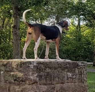 23:01:32 GMT-0500 (EST)