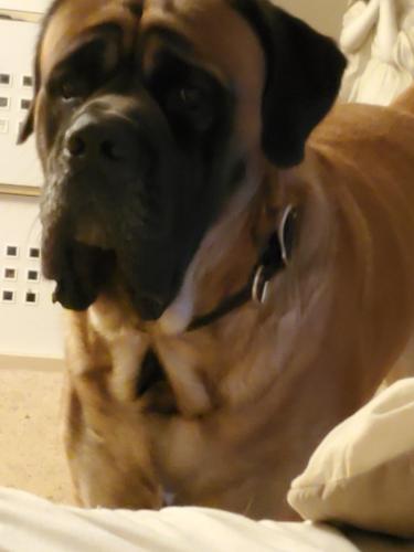 14:16:31 GMT-0500 (EST)