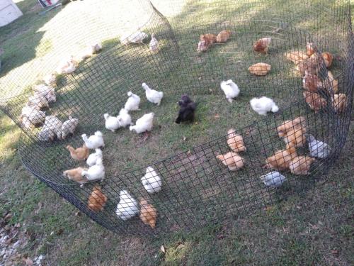 01:45:09 GMT-0600 (CST)